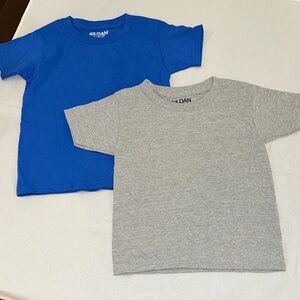 Gildan Kids Short Sleeve Tees in Blue and Gray.  4T